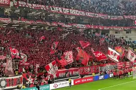 胜利队是什么意思